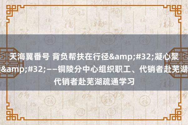 天海翼番号 背负帮扶在行径&#32;凝心聚力共发展&#32;——铜陵分中心组织职工、代销者赴芜湖疏通学习