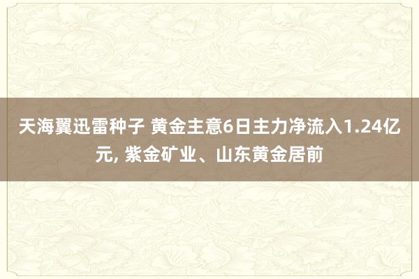 天海翼迅雷种子 黄金主意6日主力净流入1.24亿元， 紫金矿业、山东黄金居前