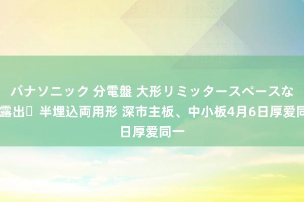 パナソニック 分電盤 大形リミッタースペースなし 露出・半埋込両用形 深市主板、中小板4月6日厚爱同一