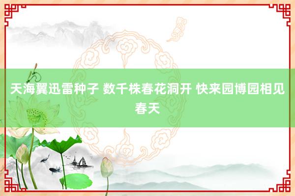 天海翼迅雷种子 数千株春花洞开 快来园博园相见春天