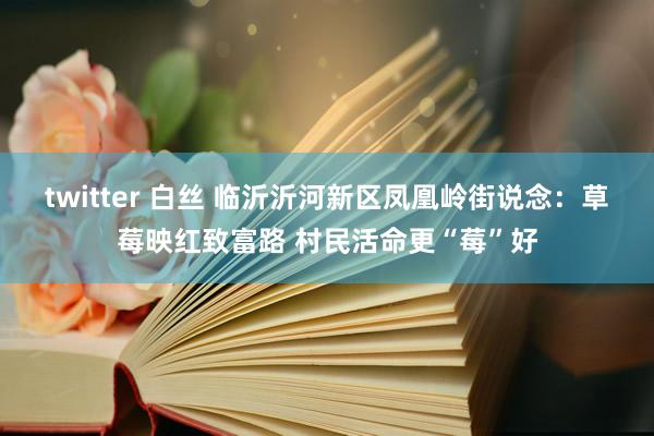 twitter 白丝 临沂沂河新区凤凰岭街说念：草莓映红致富路 村民活命更“莓”好