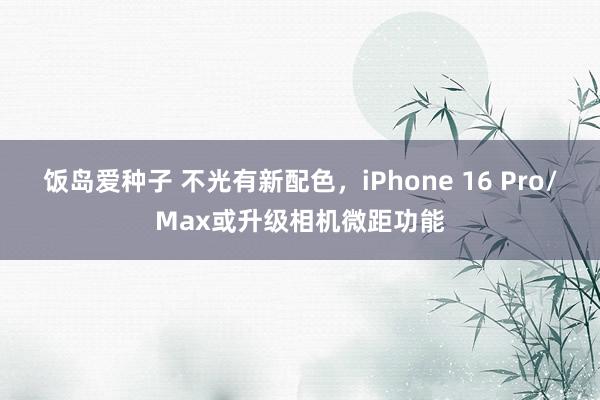 饭岛爱种子 不光有新配色，iPhone 16 Pro/Max或升级相机微距功能