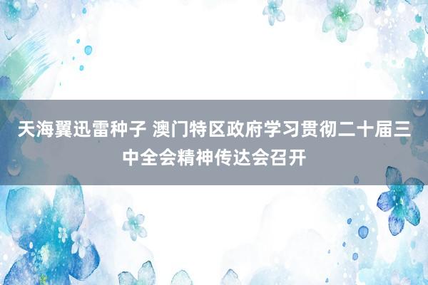 天海翼迅雷种子 澳门特区政府学习贯彻二十届三中全会精神传达会召开