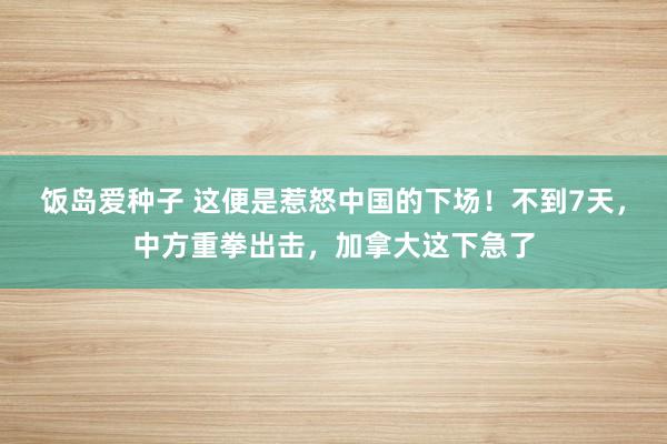 饭岛爱种子 这便是惹怒中国的下场！不到7天，中方重拳出击，加拿大这下急了