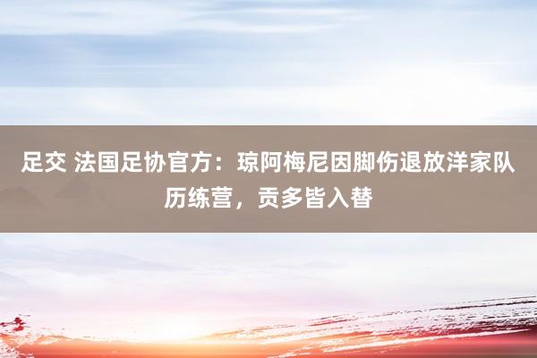 足交 法国足协官方：琼阿梅尼因脚伤退放洋家队历练营，贡多皆入替