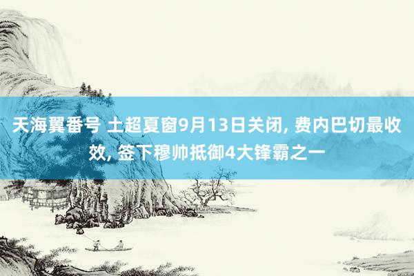 天海翼番号 土超夏窗9月13日关闭， 费内巴切最收效， 签下穆帅抵御4大锋霸之一