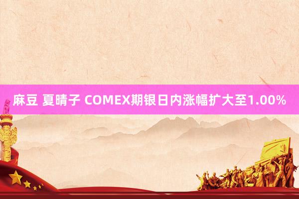 麻豆 夏晴子 COMEX期银日内涨幅扩大至1.00%