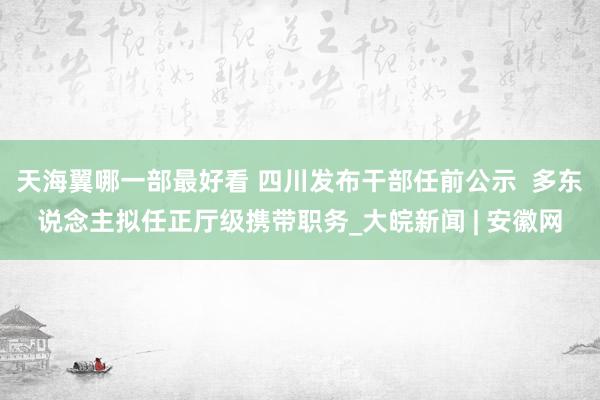 天海翼哪一部最好看 四川发布干部任前公示  多东说念主拟任正厅级携带职务_大皖新闻 | 安徽网