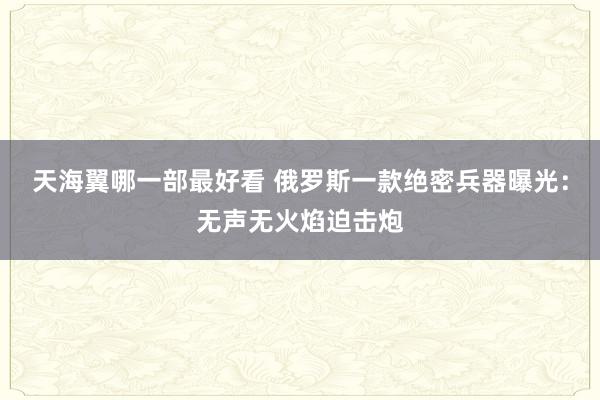 天海翼哪一部最好看 俄罗斯一款绝密兵器曝光：无声无火焰迫击炮