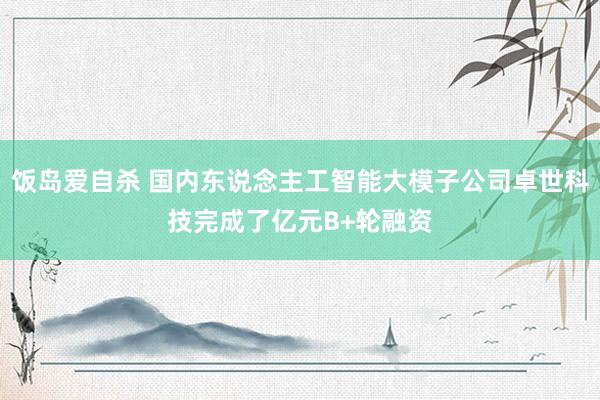 饭岛爱自杀 国内东说念主工智能大模子公司卓世科技完成了亿元B+轮融资