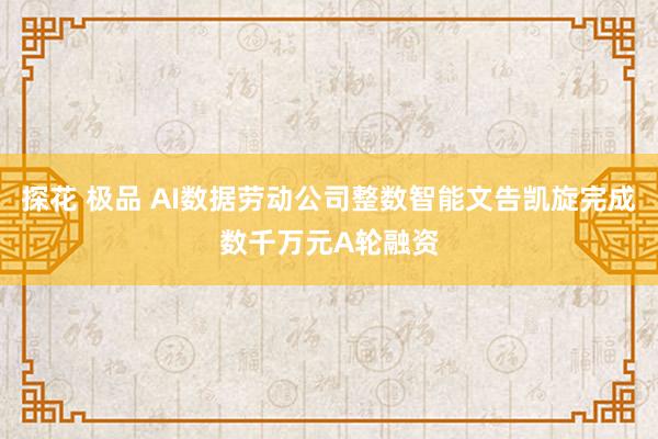 探花 极品 AI数据劳动公司整数智能文告凯旋完成数千万元A轮融资