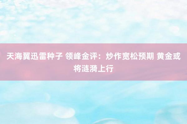 天海翼迅雷种子 领峰金评：炒作宽松预期 黄金或将涟漪上行