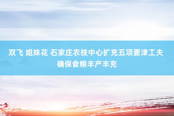 双飞 姐妹花 石家庄农技中心扩充五项要津工夫 确保食粮丰产丰充