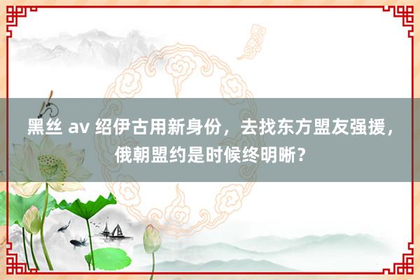 黑丝 av 绍伊古用新身份，去找东方盟友强援，俄朝盟约是时候终明晰？