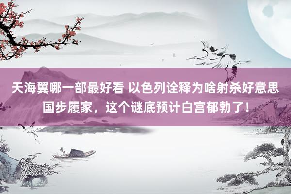 天海翼哪一部最好看 以色列诠释为啥射杀好意思国步履家，这个谜底预计白宫郁勃了！