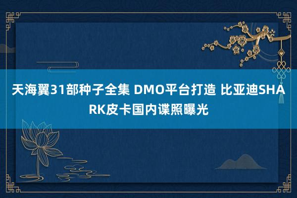 天海翼31部种子全集 DMO平台打造 比亚迪SHARK皮卡国内谍照曝光