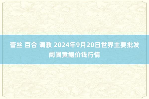 蕾丝 百合 调教 2024年9月20日世界主要批发阛阓黄鳝价钱行情