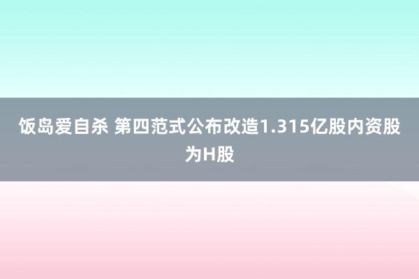 饭岛爱自杀 第四范式公布改造1.315亿股内资股为H股