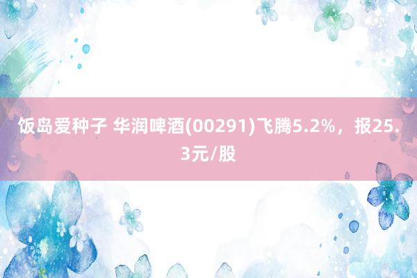 饭岛爱种子 华润啤酒(00291)飞腾5.2%，报25.3元/股