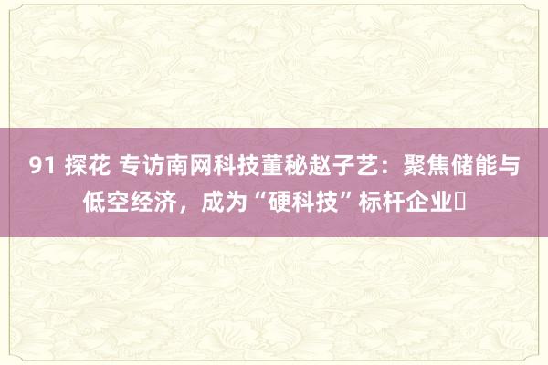 91 探花 专访南网科技董秘赵子艺：聚焦储能与低空经济，成为“硬科技”标杆企业‌