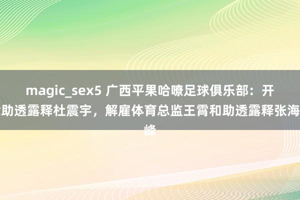 magic_sex5 广西平果哈嘹足球俱乐部：开除助透露释杜震宇，解雇体育总监王霄和助透露释张海峰