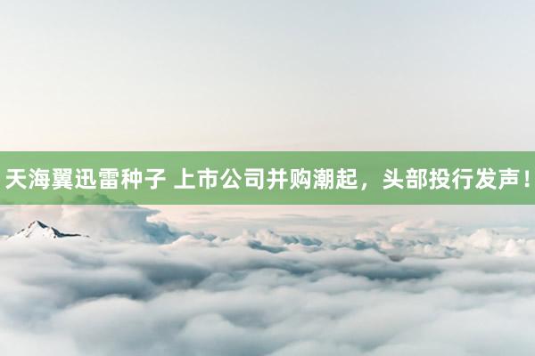 天海翼迅雷种子 上市公司并购潮起，头部投行发声！