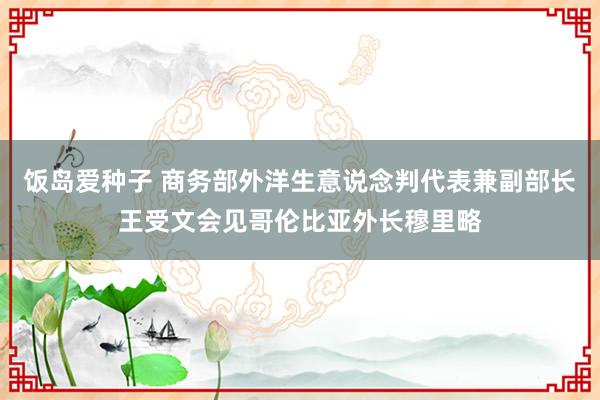 饭岛爱种子 商务部外洋生意说念判代表兼副部长王受文会见哥伦比亚外长穆里略