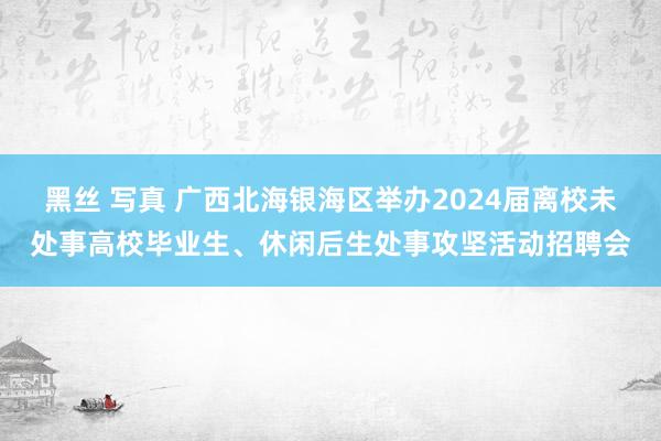 黑丝 写真 广西北海银海区举办2024届离校未处事高校毕业生、休闲后生处事攻坚活动招聘会