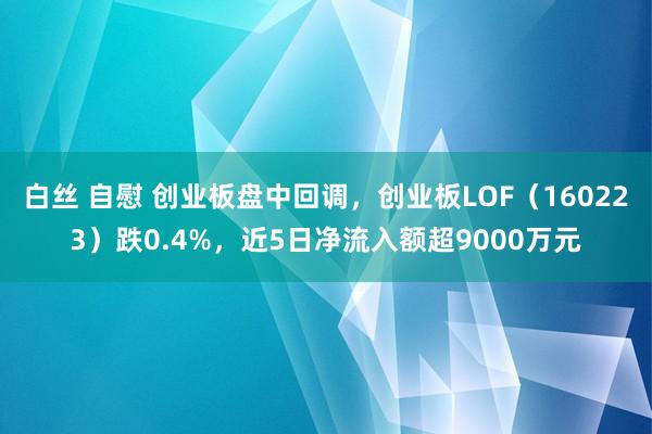 白丝 自慰 创业板盘中回调，创业板LOF（160223）跌0.4%，近5日净流入额超9000万元