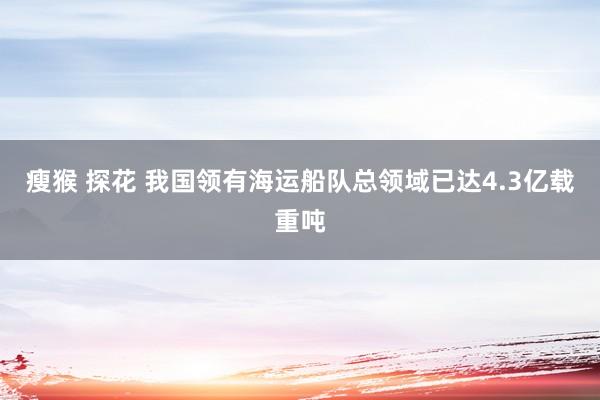 瘦猴 探花 我国领有海运船队总领域已达4.3亿载重吨