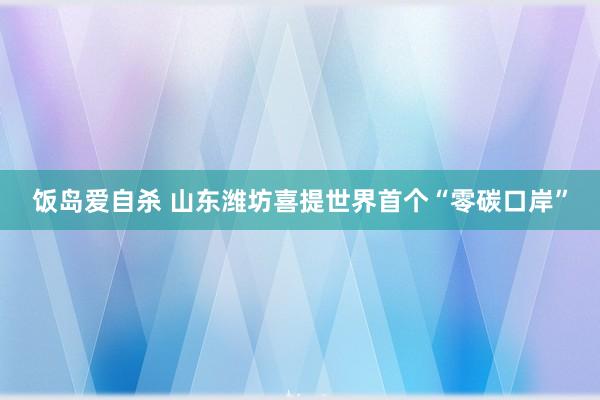 饭岛爱自杀 山东潍坊喜提世界首个“零碳口岸”