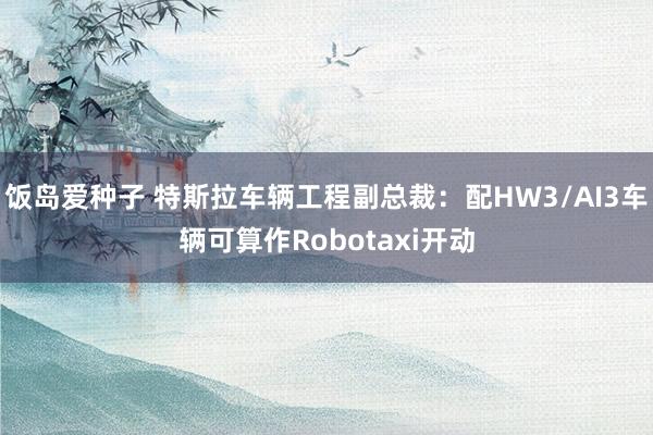 饭岛爱种子 特斯拉车辆工程副总裁：配HW3/AI3车辆可算作Robotaxi开动