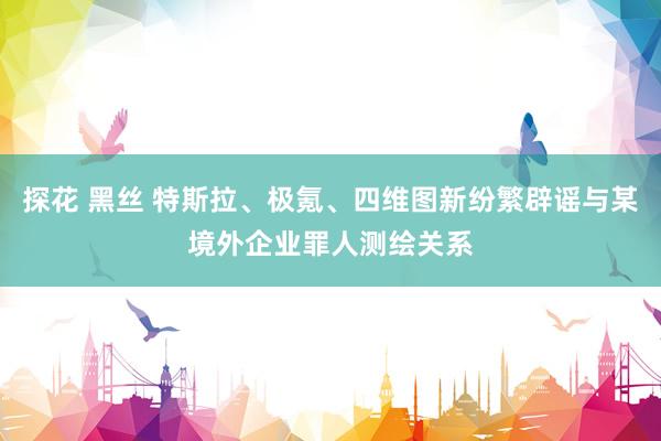 探花 黑丝 特斯拉、极氪、四维图新纷繁辟谣与某境外企业罪人测绘关系