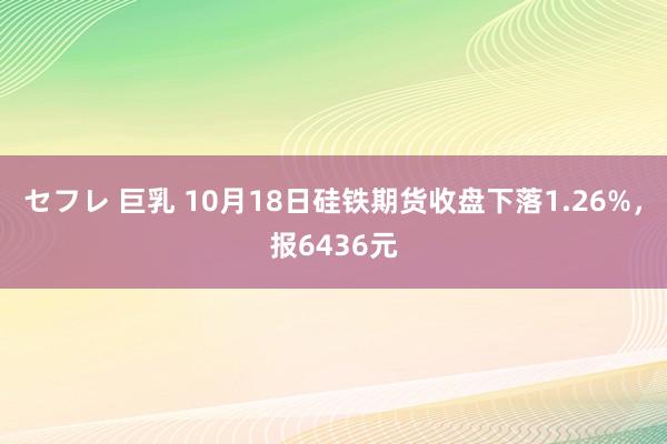 セフレ 巨乳 10月18日硅铁期货收盘下落1.26%，报6436元