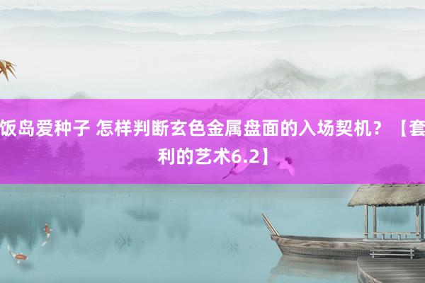 饭岛爱种子 怎样判断玄色金属盘面的入场契机？【套利的艺术6.2】