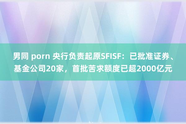 男同 porn 央行负责起原SFISF：已批准证券、基金公司20家，首批苦求额度已超2000亿元