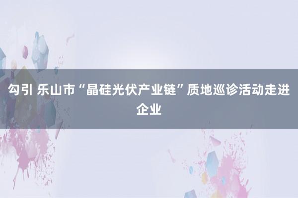 勾引 乐山市“晶硅光伏产业链”质地巡诊活动走进企业