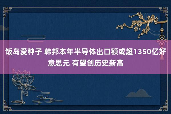 饭岛爱种子 韩邦本年半导体出口额或超1350亿好意思元 有望创历史新高