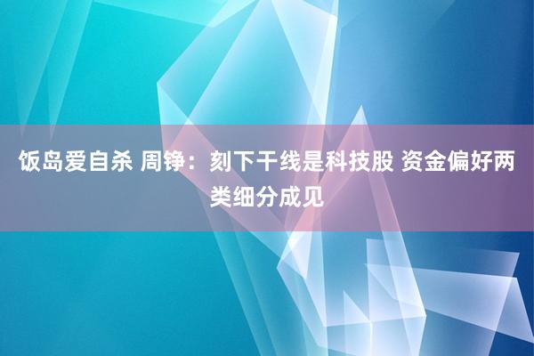 饭岛爱自杀 周铮：刻下干线是科技股 资金偏好两类细分成见