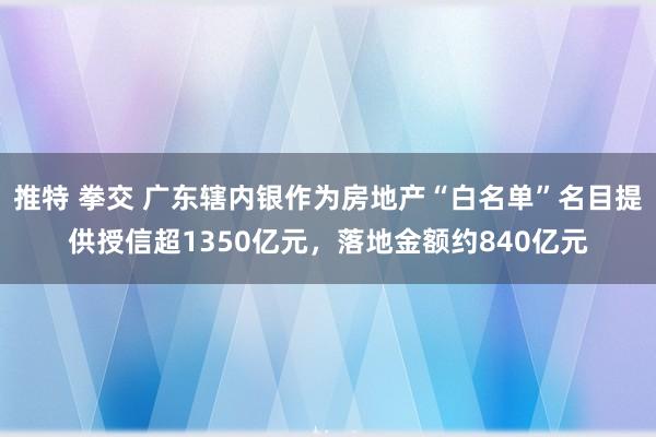 推特 拳交 广东辖内银作为房地产“白名单”名目提供授信超1350亿元，落地金额约840亿元