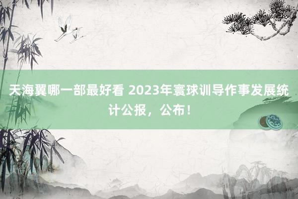 天海翼哪一部最好看 2023年寰球训导作事发展统计公报，公布！