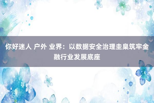 你好迷人 户外 业界：以数据安全治理圭臬筑牢金融行业发展底座