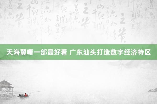 天海翼哪一部最好看 广东汕头打造数字经济特区