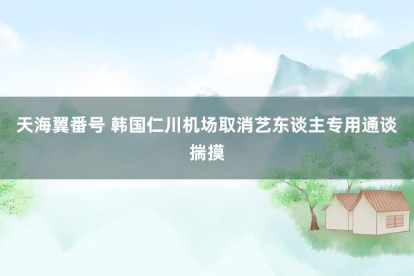 天海翼番号 韩国仁川机场取消艺东谈主专用通谈揣摸