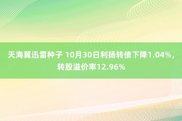 天海翼迅雷种子 10月30日利扬转债下降1.04%，转股溢价率12.96%