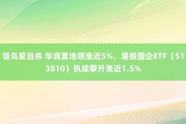 饭岛爱自杀 华润置地领涨近5%，港股国企ETF（513810）执续攀升涨近1.5%