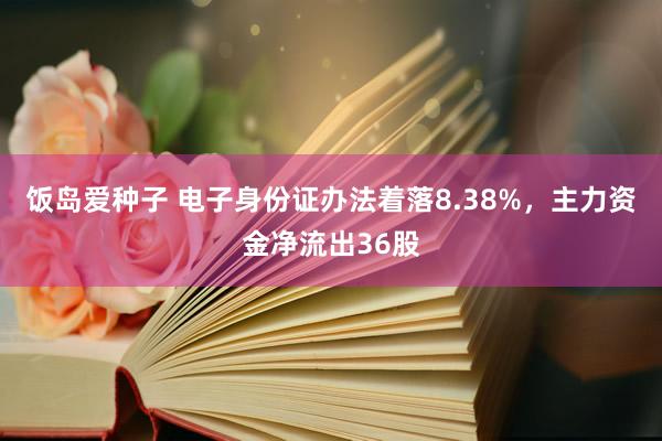 饭岛爱种子 电子身份证办法着落8.38%，主力资金净流出36股