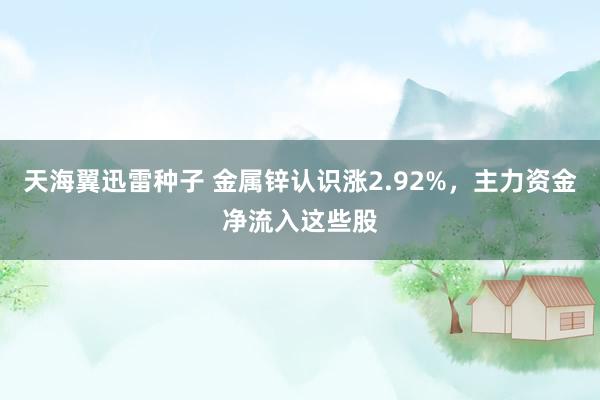 天海翼迅雷种子 金属锌认识涨2.92%，主力资金净流入这些股