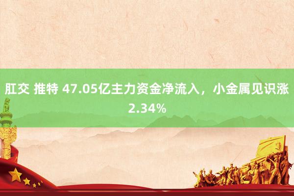 肛交 推特 47.05亿主力资金净流入，小金属见识涨2.34%