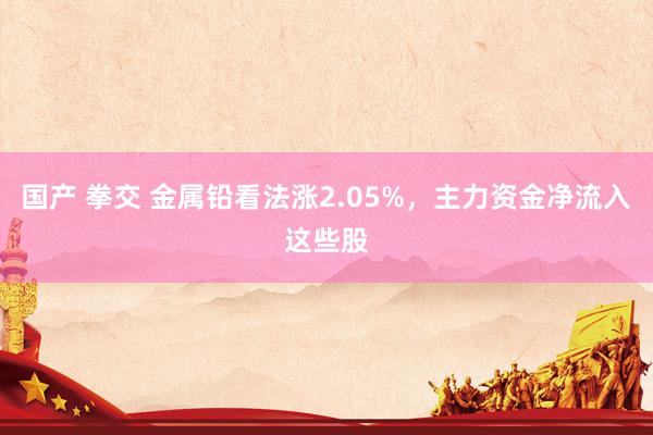 国产 拳交 金属铅看法涨2.05%，主力资金净流入这些股